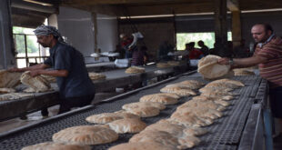 رغم تفاوت جودة الرغيف “السورية للمخابز”: خمسة ملايين ربطة خبز ننتجها يومياً
